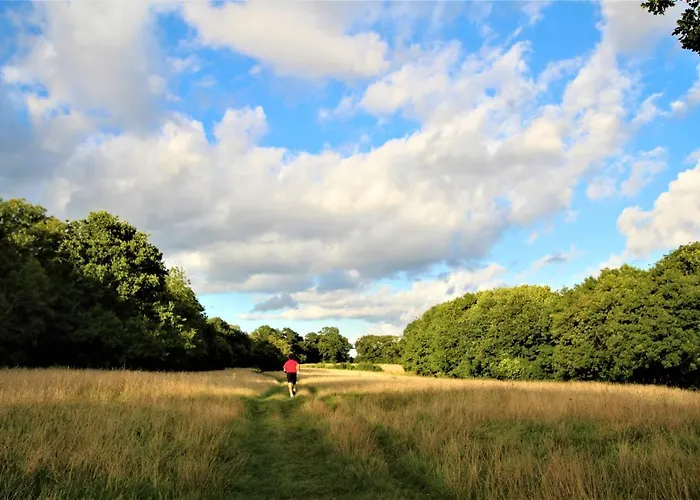 Belmont Penthouse Apartment