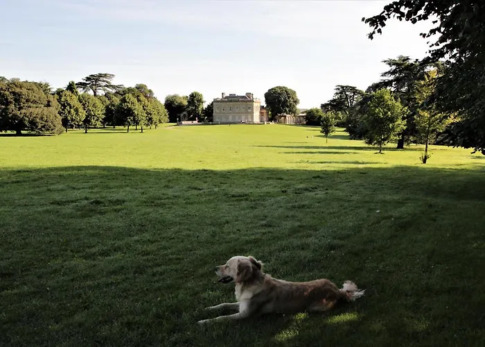 Belmont Penthouse Apartment