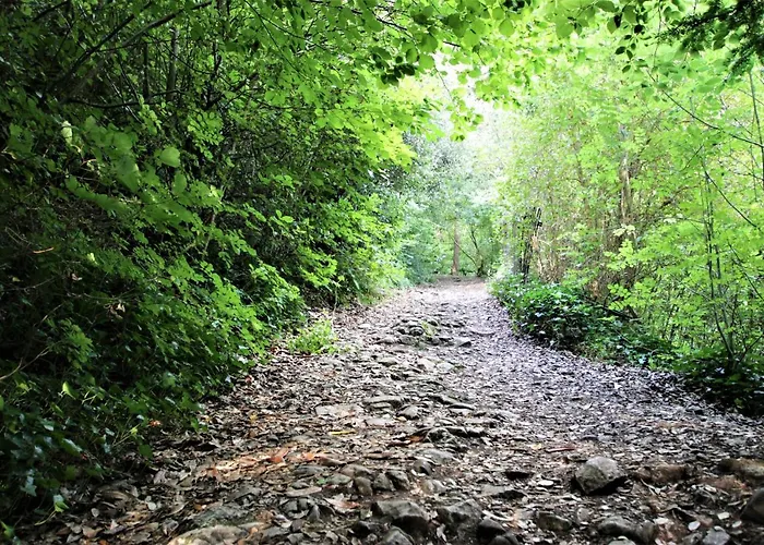 Belmont Penthouse Apartament *