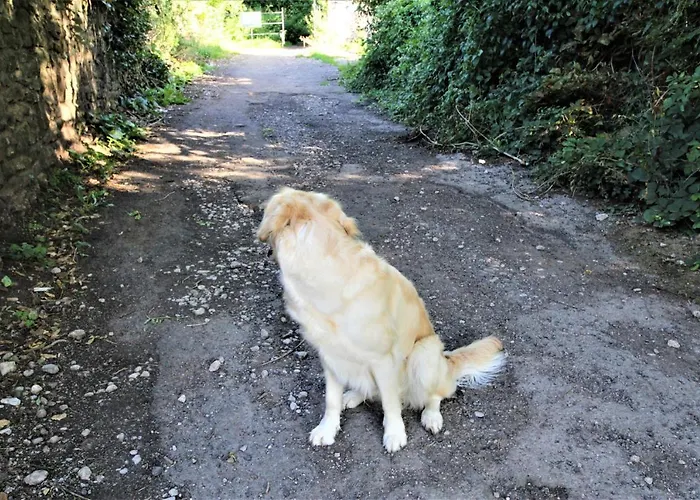 Apartament Belmont Penthouse