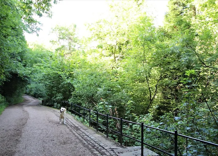 Belmont Penthouse Apartament