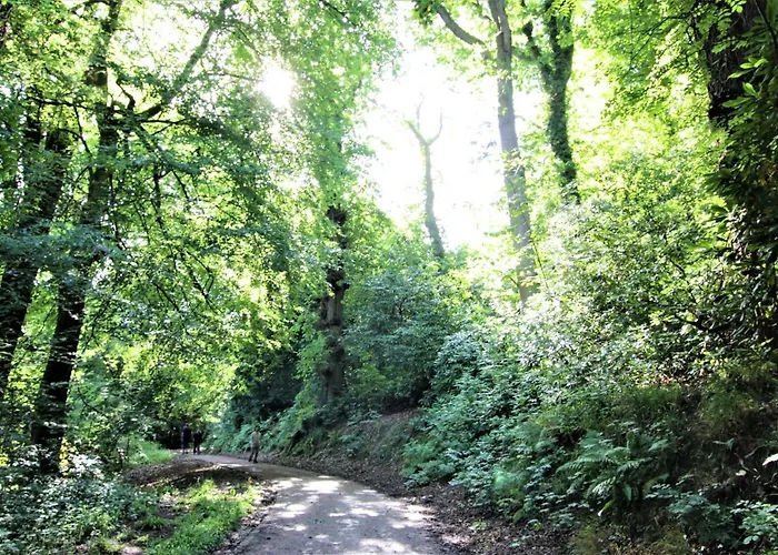 Belmont Penthouse Apartment Bristol