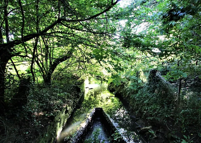 Belmont Penthouse Apartment