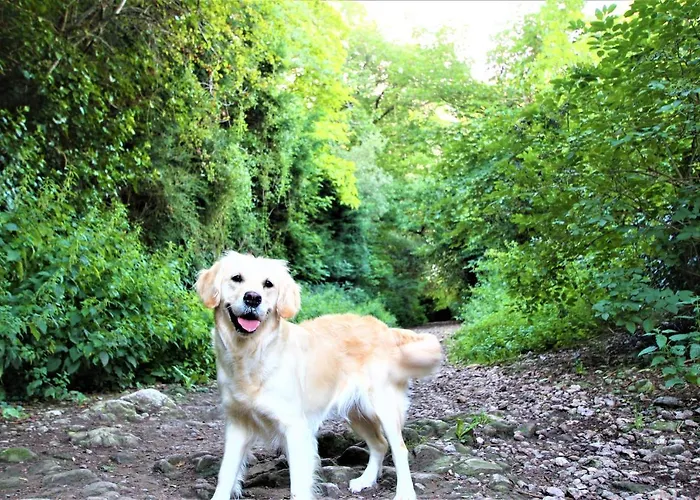 Apartmán Belmont Penthouse Bristol